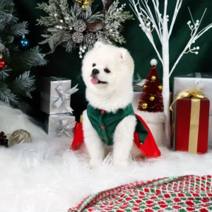 Christmas Green Bell Dog Dress Holiday Outfit