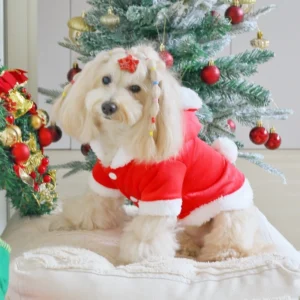Red Bunny Ear Dog Coat Christmas Outfit