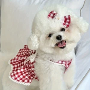 Red Plaid Pullover Pet Dress with Leash Ring