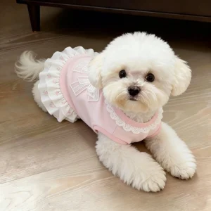 Pink Bow Dog Dress with Buckle Collar