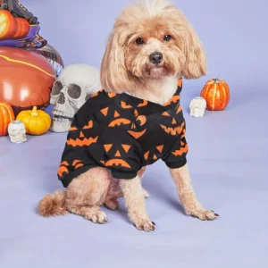 Black Pumpkin Pet Pullover Hoodie
