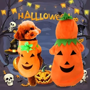 Halloween Pumpkin Press Buckle Pet Costume