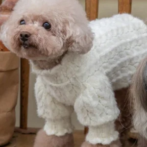 White Lace Pearl Knit Dog Sweater