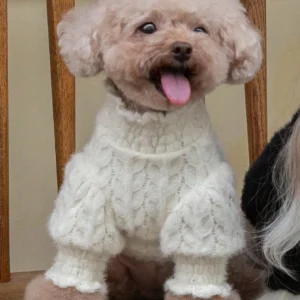 White Lace Pearl Knit Dog Sweater
