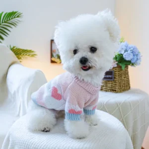 Blue Love Jacquard Cotton Dog Hoodie