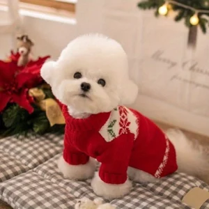 Beige Festive Winter Dog Sweater