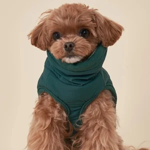 Snap Button Dog Jacket for Small Medium Dogs