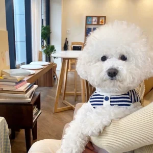 Thin Striped Dog Vest for Summer Wear