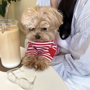 Striped Love Print Dog Summer T-Shirt