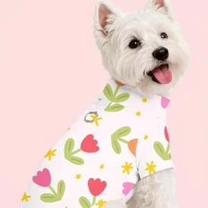 Lightweight Pullover Dog Jersey Shirt
